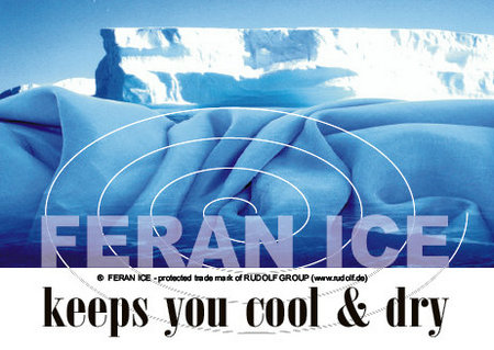 10 models of feran ice-dec (traditional Chinese) front view