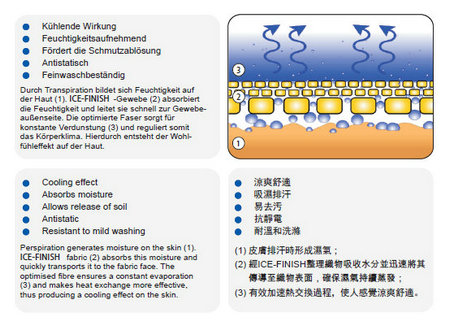 10 pieces of feran ice-dec (traditional Chinese) on the reverse side